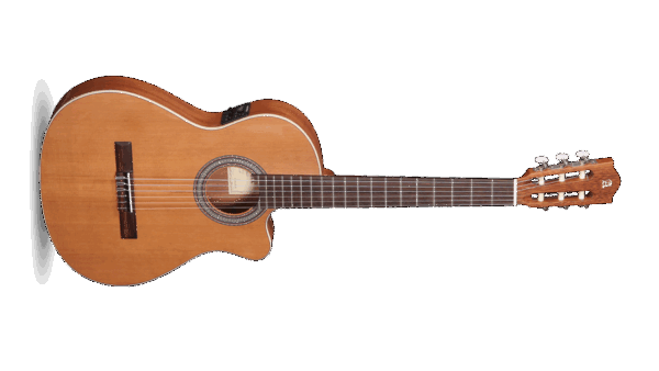 Alhambra Z-Nature CW EZ