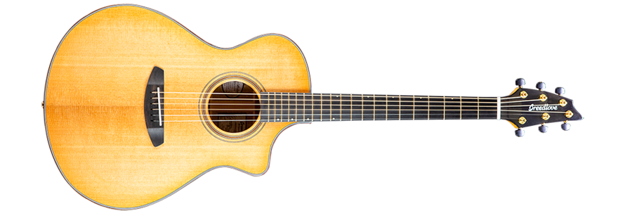 Breedlove Artista Concert