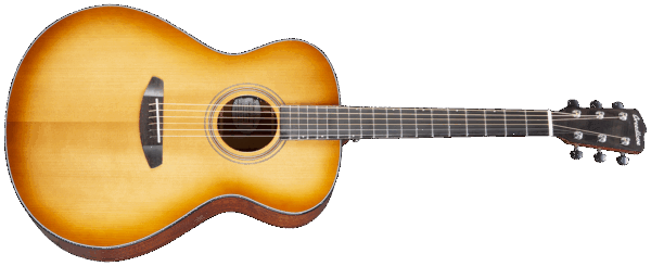 Breedlove Organic Signature Concertina