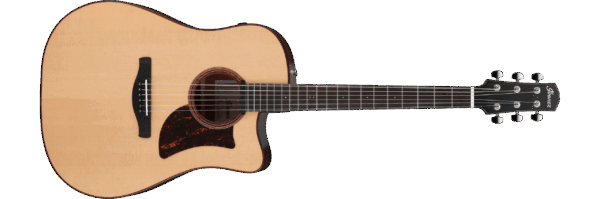 Ibanez AAD300 CE