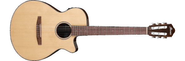 Ibanez AEG50N