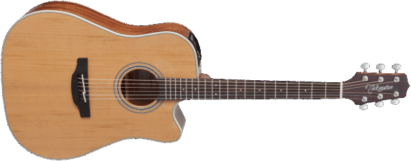 Takamine GD20CE