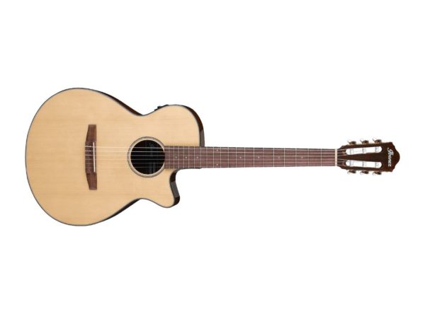 Ibanez AEG50N