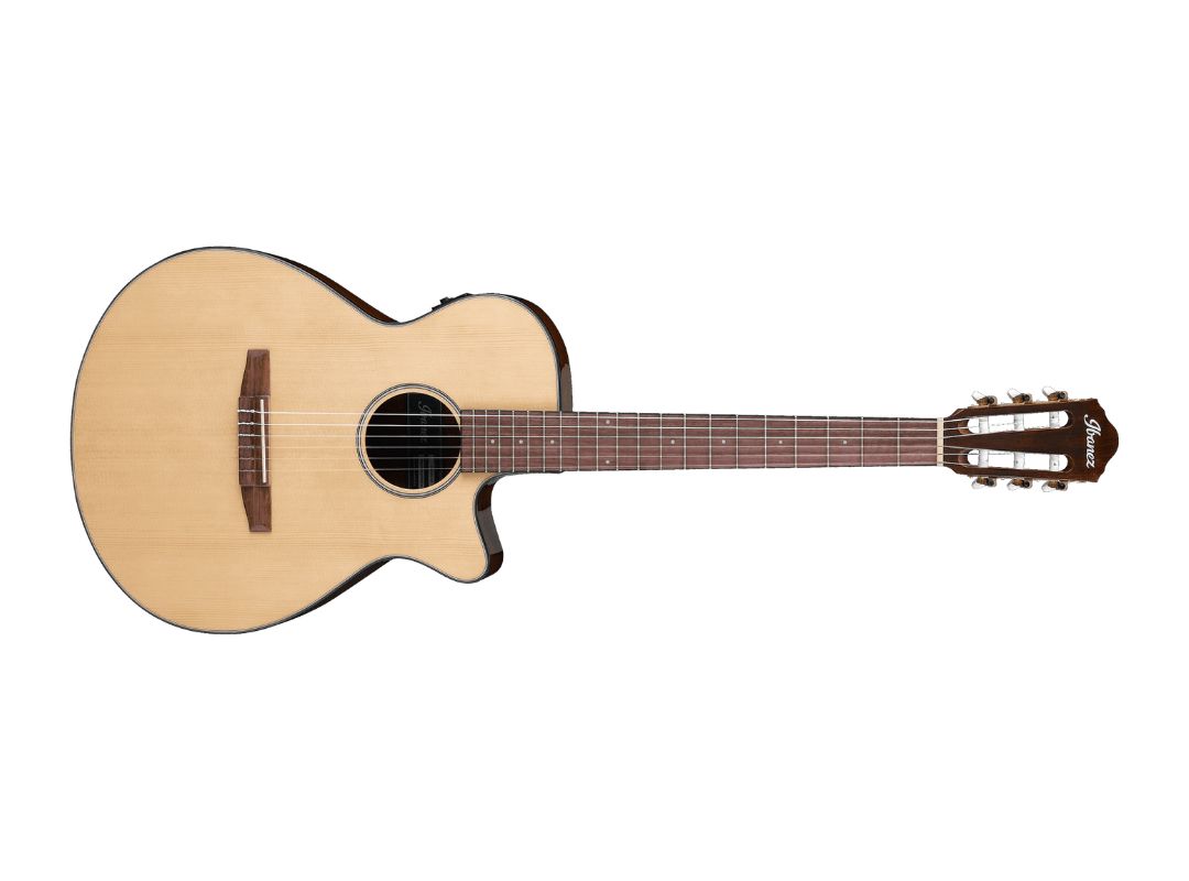 Ibanez AEG50N