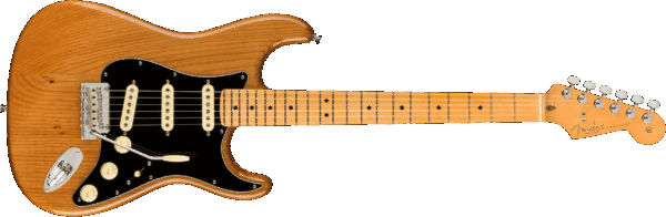 Fender American Professional II Stratocaster