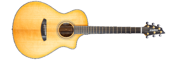 Breedlove Artista Concert