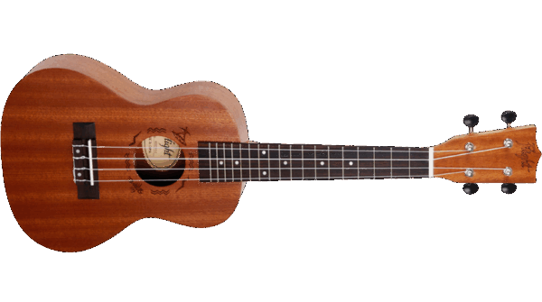 Flight Concert NUC 310