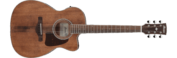 Ibanez AC340CE