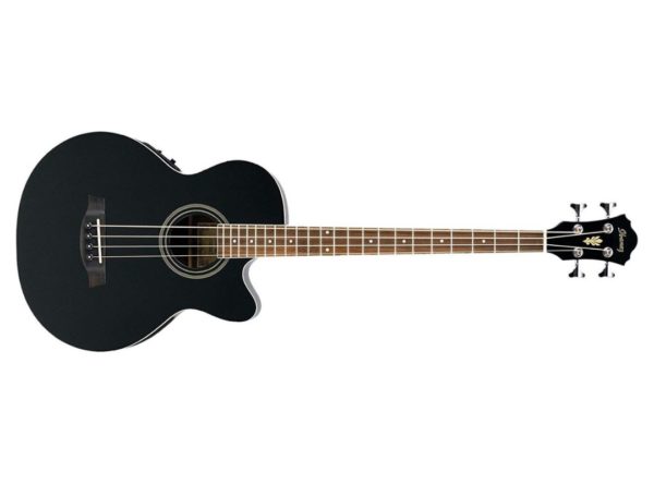 Ibanez AEB8E