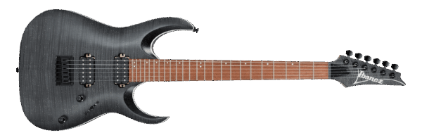 Ibanez RGA42FM
