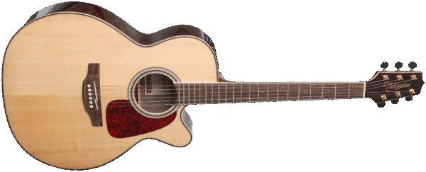 Takamine GN93CE