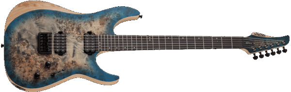 Schecter Reaper 6