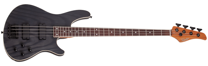Schecter C4 Standard