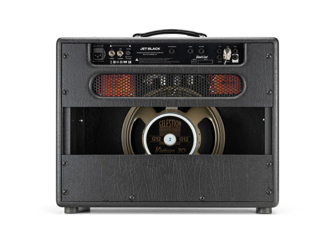 Bad Cat Jet Black back