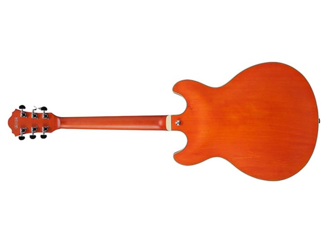 Ibanez AS73TTF back